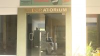 Lab PCR