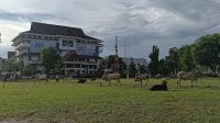IMG-20260525-WA0016
