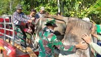IMG-20260717-WA0038