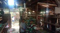 IMG-20260718-WA0013