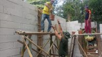 IMG-20260730-WA0014